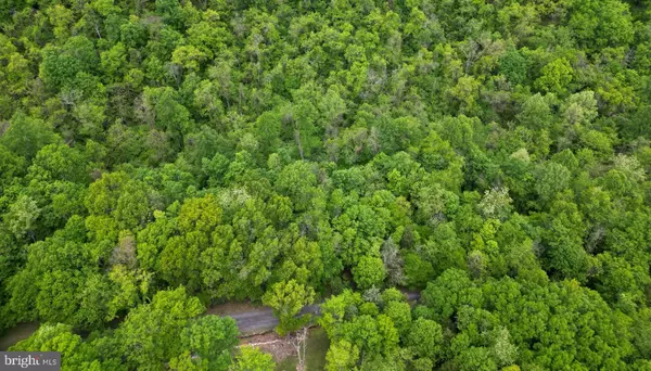 New Creek, WV 26743,LOT 4 YOST RD