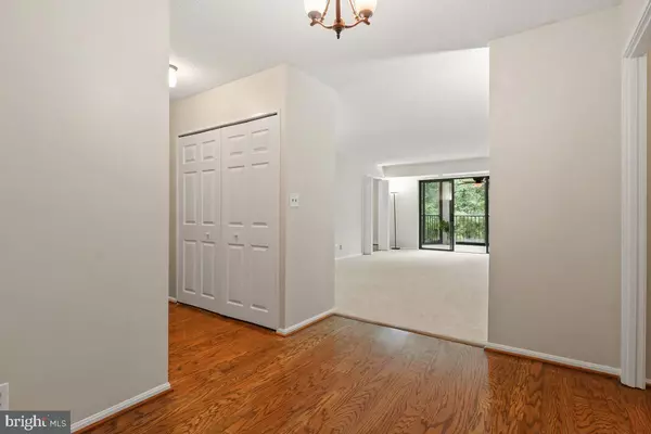 Alexandria, VA 22303,5903 MOUNT EAGLE DR #108