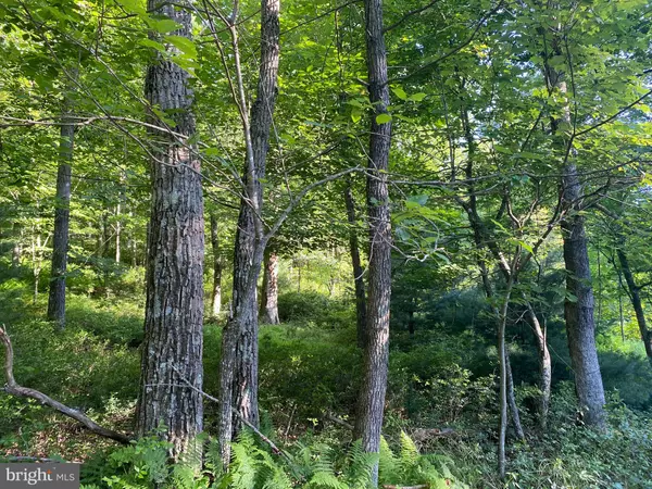 Lost River, WV 26810,2.28 AC THORN BOTTOM
