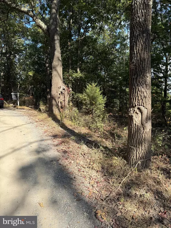 Winchester, VA 22603,LIGHT ROAD