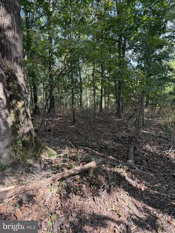 Winchester, VA 22603,LIGHT ROAD