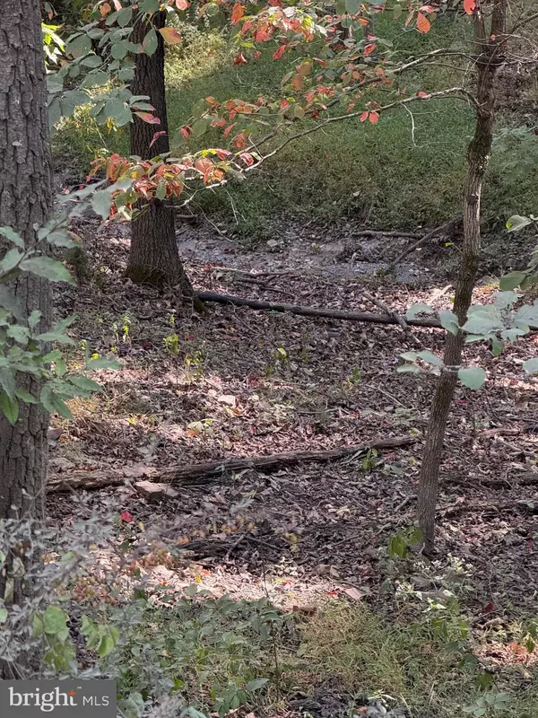 Winchester, VA 22603,LIGHT ROAD