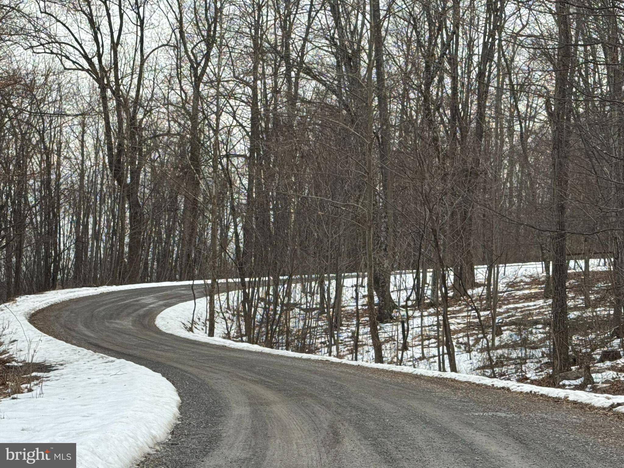 Berkeley Springs, WV 25411,LOT 3 SALMON LANE