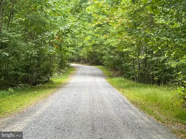 Berkeley Springs, WV 25411,LOT 3 SALMON LANE