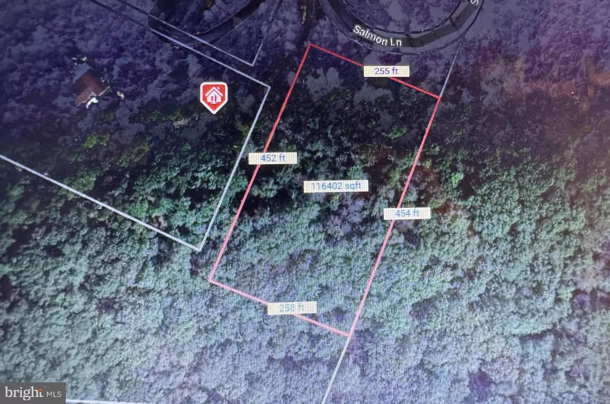 Berkeley Springs, WV 25411,LOT 3 SALMON LANE