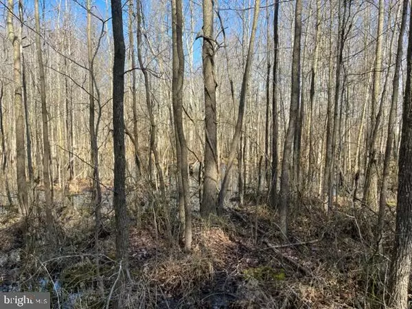 Bryans Road, MD 20616,7040 MATTHEWS RD