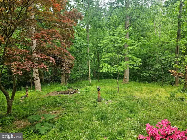 Falling Waters, WV 25419,250 BURNSIDE DR