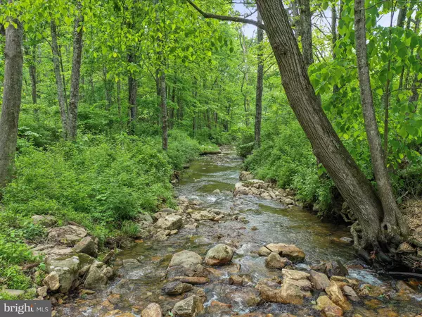 CORNER OF RT 259 & HUNKERSON GAP ROAD, Mathias, WV 26812
