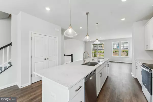 Damascus, MD 20872,26478 SIR JAMIE TER