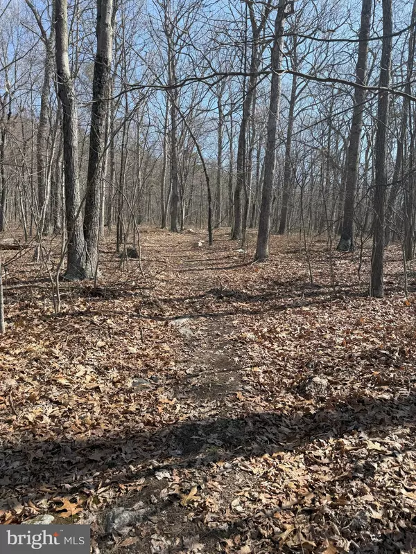 New Market, VA 22844,SHOTGUN SPRINGS