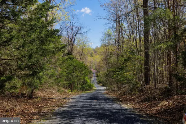 New Market, VA 22844,SHOTGUN SPRINGS