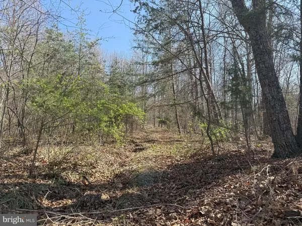 New Market, VA 22844,SHOTGUN SPRINGS