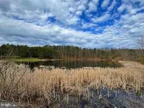 Augusta, WV 26704,LOT 15 WEST PARKER DR