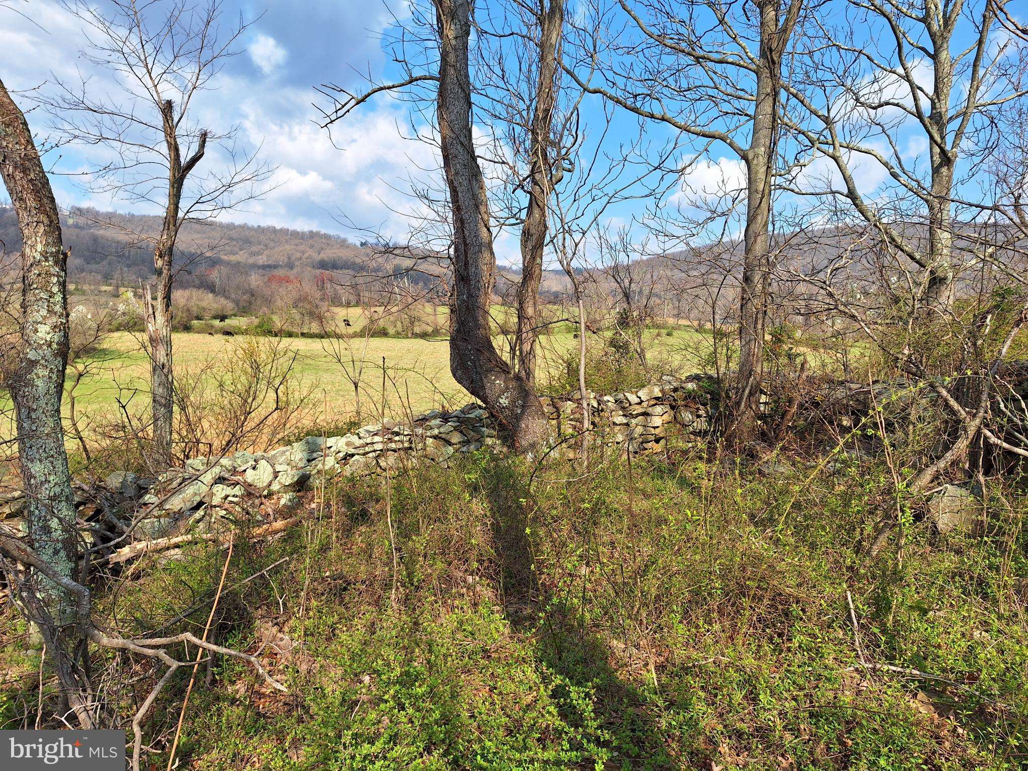 Bluemont, VA 20135,18590 APPX FOGGY BOTTOM RD.