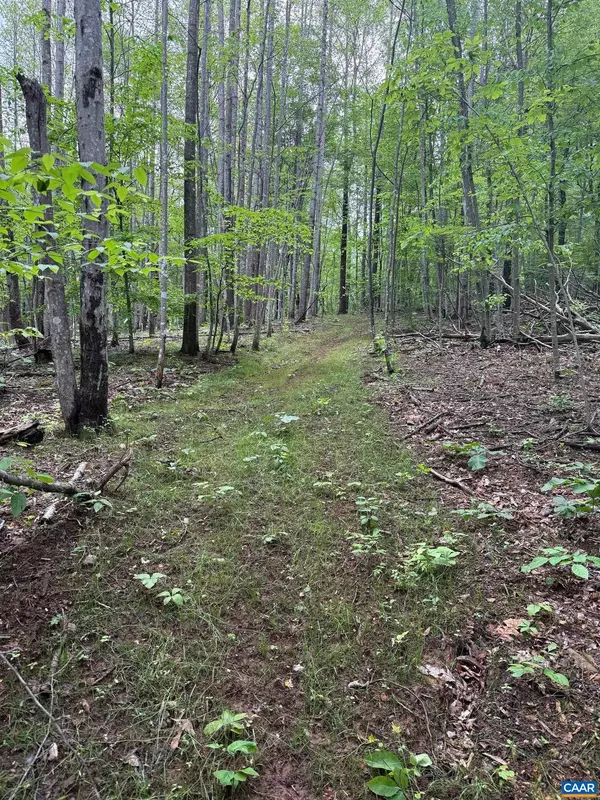 North Garden, VA 22959,TBD RABBIT VALLEY RD