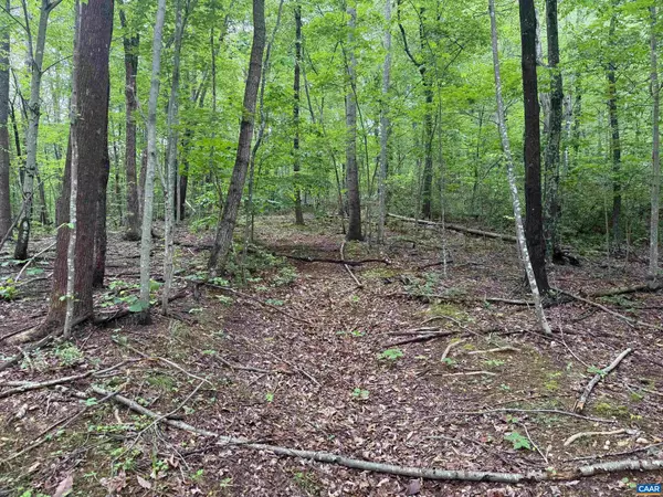 North Garden, VA 22959,TBD RABBIT VALLEY RD