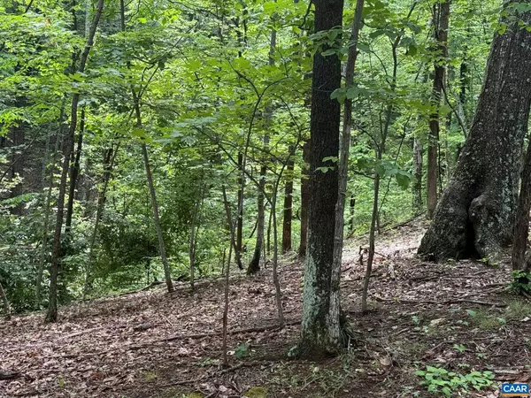 North Garden, VA 22959,TBD RABBIT VALLEY RD