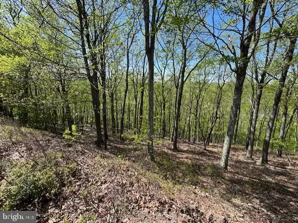 Hazleton, PA 18202,LOT 48 SUMMIT RD