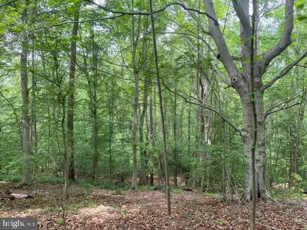 7575 MASON SPRINGS RD, La Plata, MD 20646