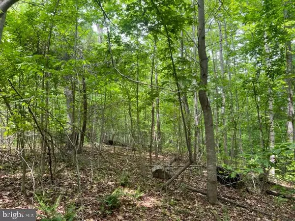 La Plata, MD 20646,7575 MASON SPRINGS RD