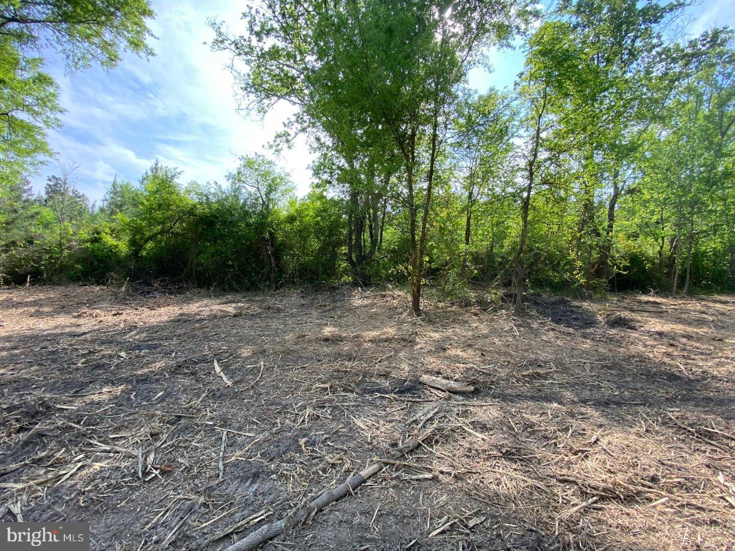 1661 ANTLERS RD, Boydton, VA 23917