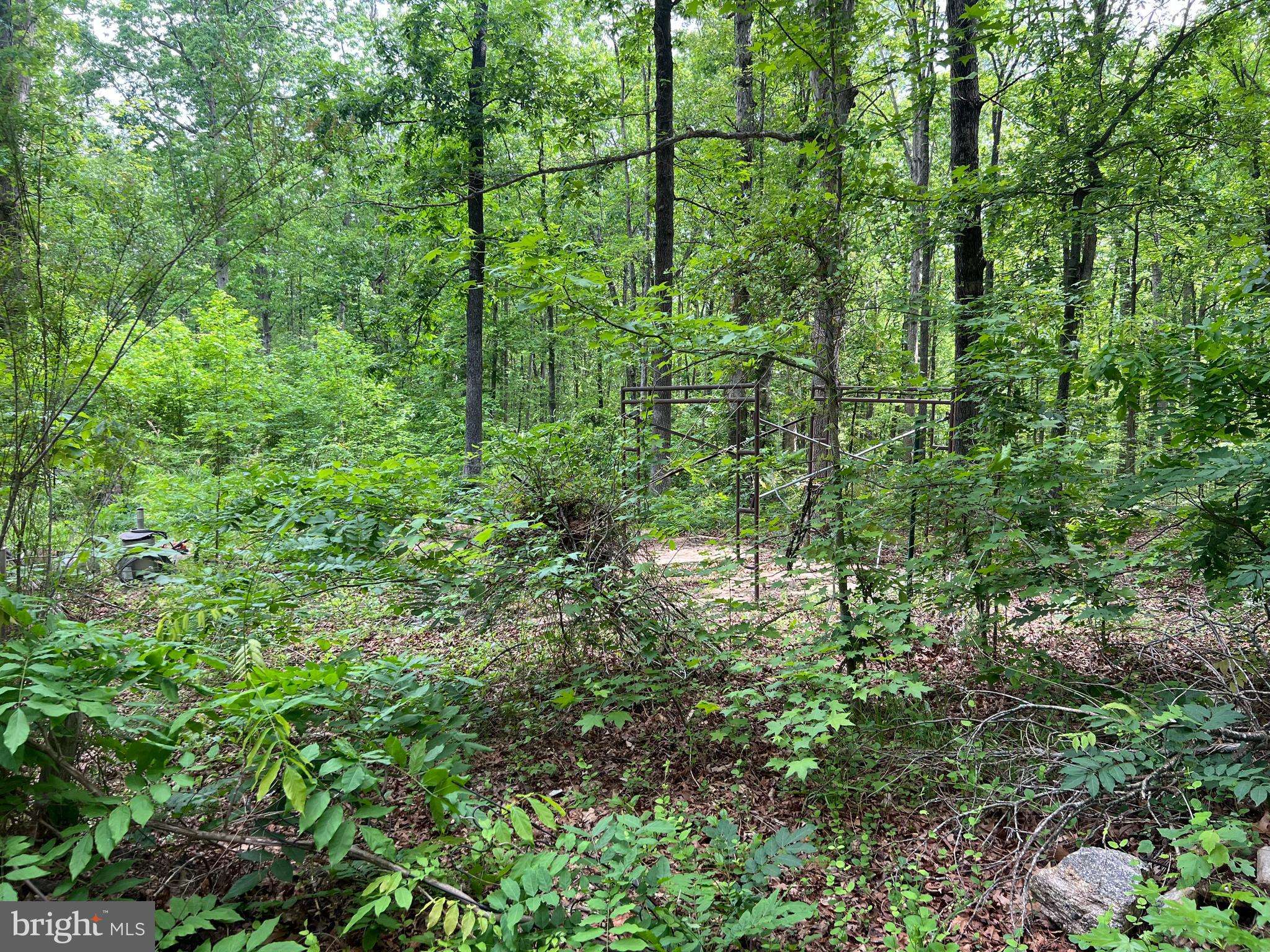 13012 ORANGE PLANK RD, Locust Grove, VA 22508