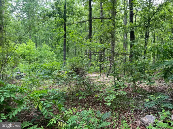 13012 ORANGE PLANK RD, Locust Grove, VA 22508