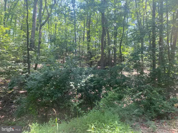 Frederick, MD 21702,7125 EDGEMONT RD