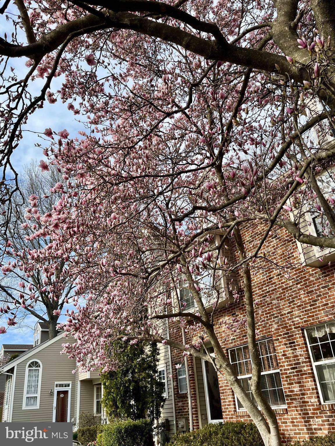304 CHESWOLD CT #304, Chesterbrook, PA 19087