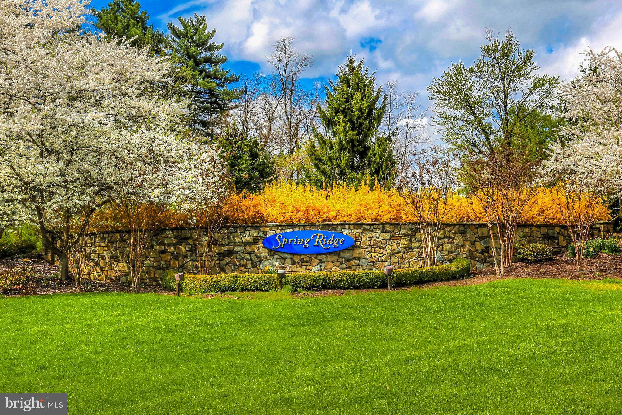 Frederick, MD 21701,6343 SPRINGWATER TER #1033