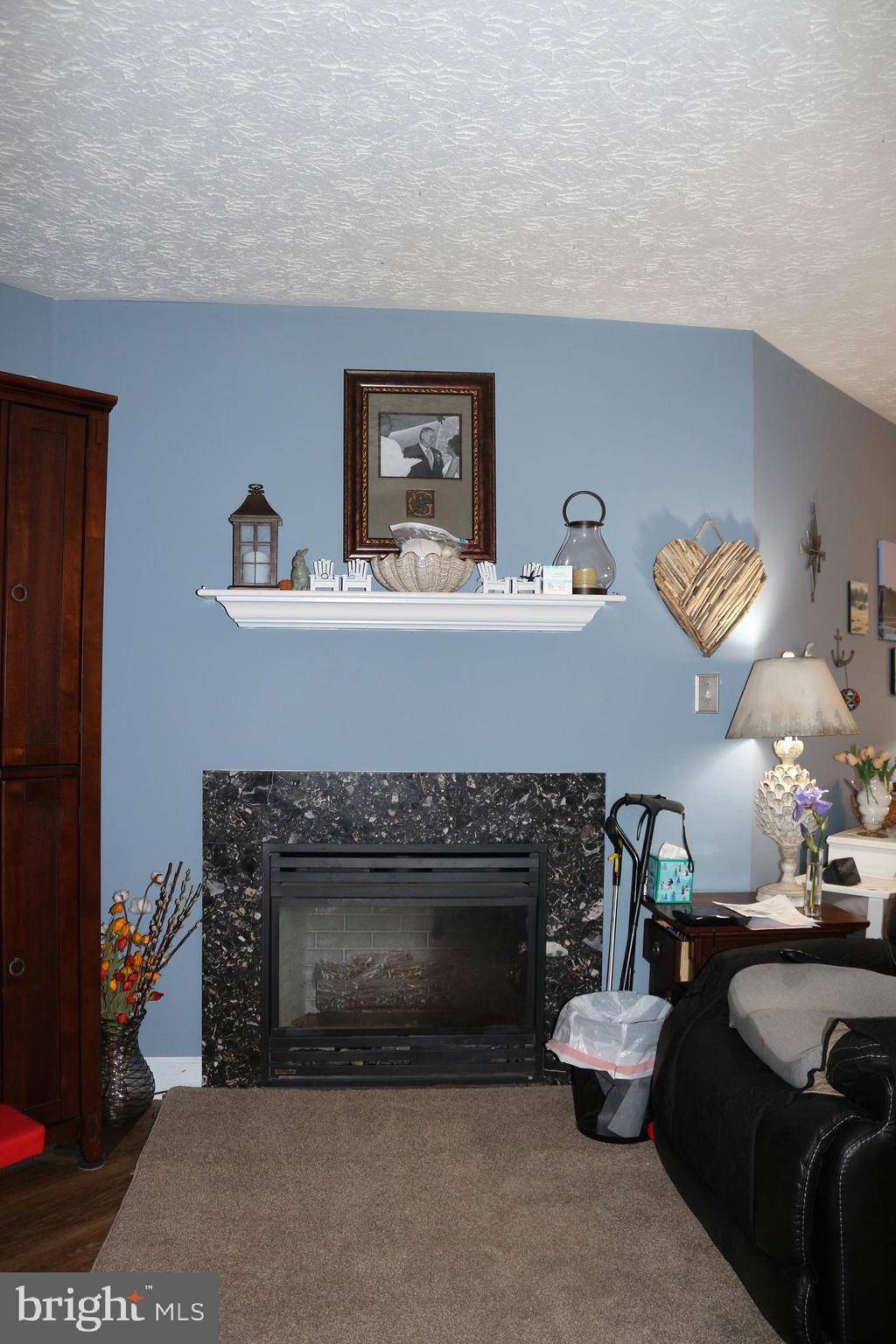 Frederick, MD 21701,6343 SPRINGWATER TER #1033