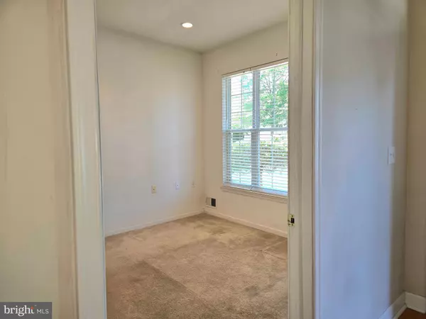 Bordentown, NJ 08620,10 HONEYFLOWER