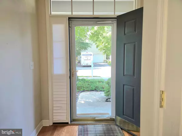 Bordentown, NJ 08620,10 HONEYFLOWER