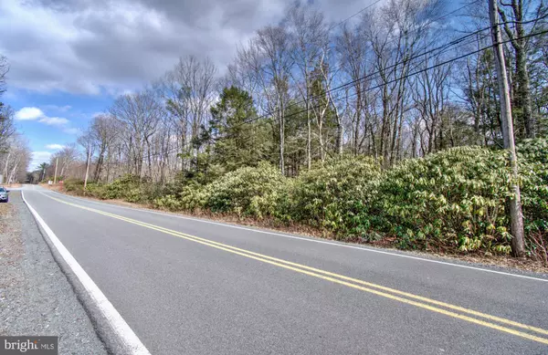 Jim Thorpe, PA 18229,LOT 29 & 30 STONY MOUNTAIN RD