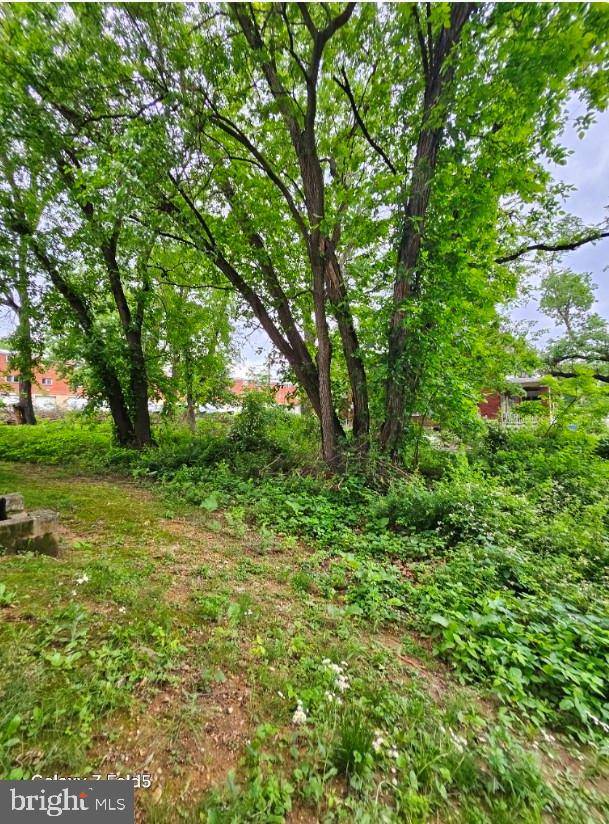 Harrisburg, PA 17104,1334 S 19TH ST