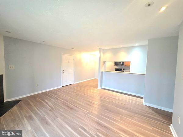 Ellicott City, MD 21042,4728 DORSEY HALL DR #801