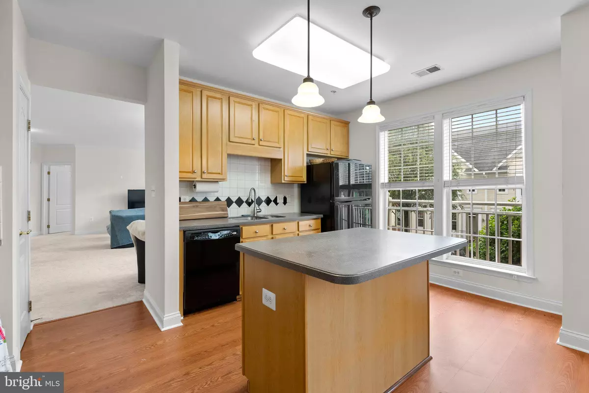 Rockville, MD 20850,803 RESERVE CHAMPION DR #16-201