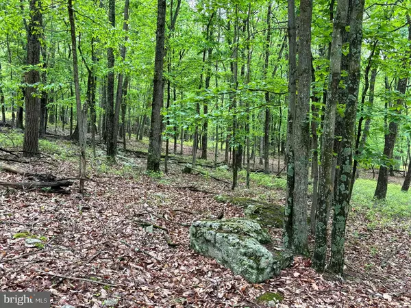 Baker, WV 26801,OLD POPULAR DR