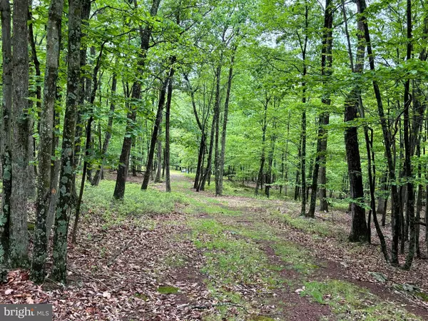 Baker, WV 26801,OLD POPULAR DR