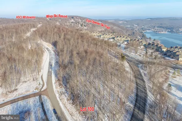 Mc Henry, MD 21541,LOT 100 SNOWHAVEN LANE