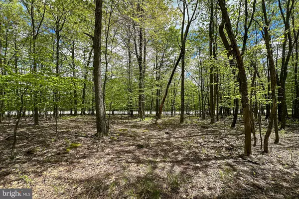 Mc Henry, MD 21541,LOT 100 SNOWHAVEN LANE