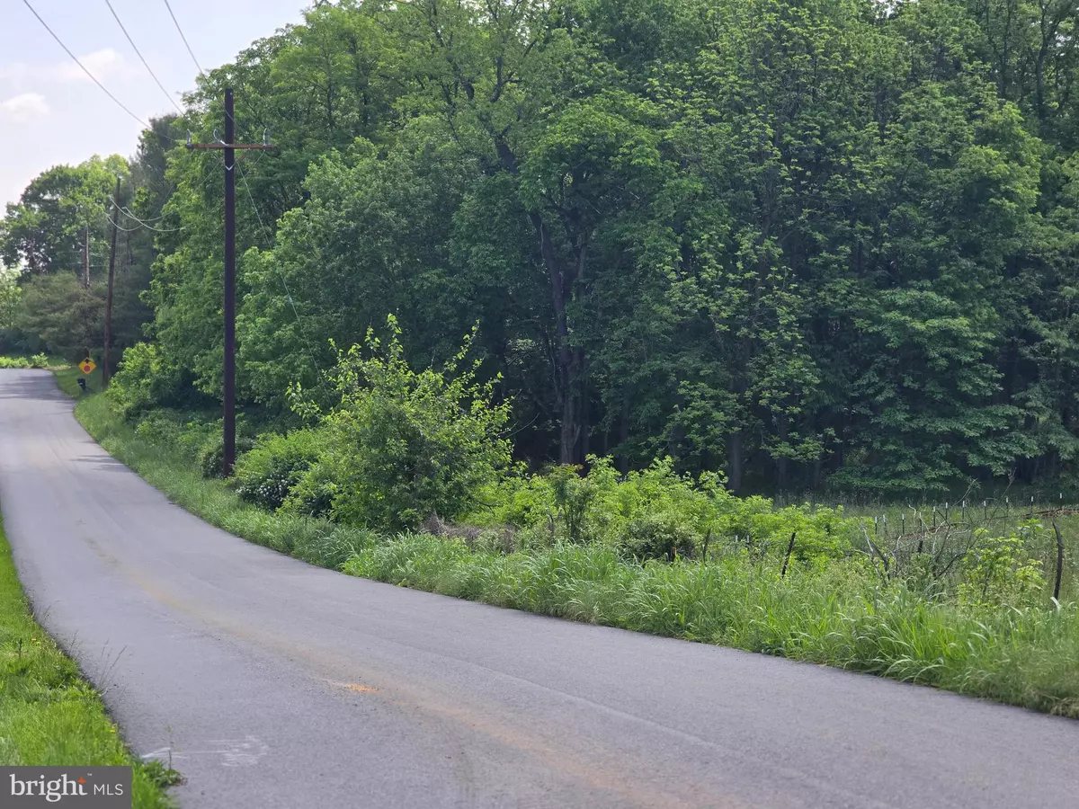 Summit Point, WV 25446,LEWISVILLE RD