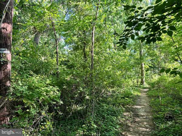 Gaithersburg, MD 20877,BRYAN AVE #LOT 81