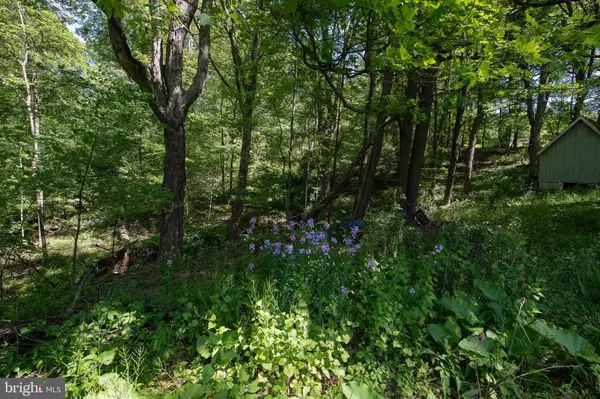 Frostburg, MD 21532,12814 PARKER HILL RD SW