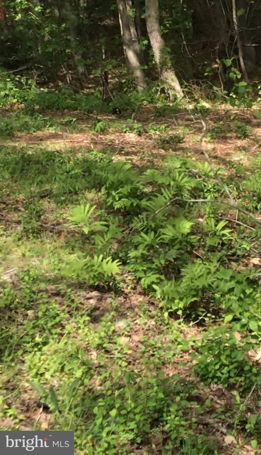 Eden, MD 21822,0 ALLEN RD