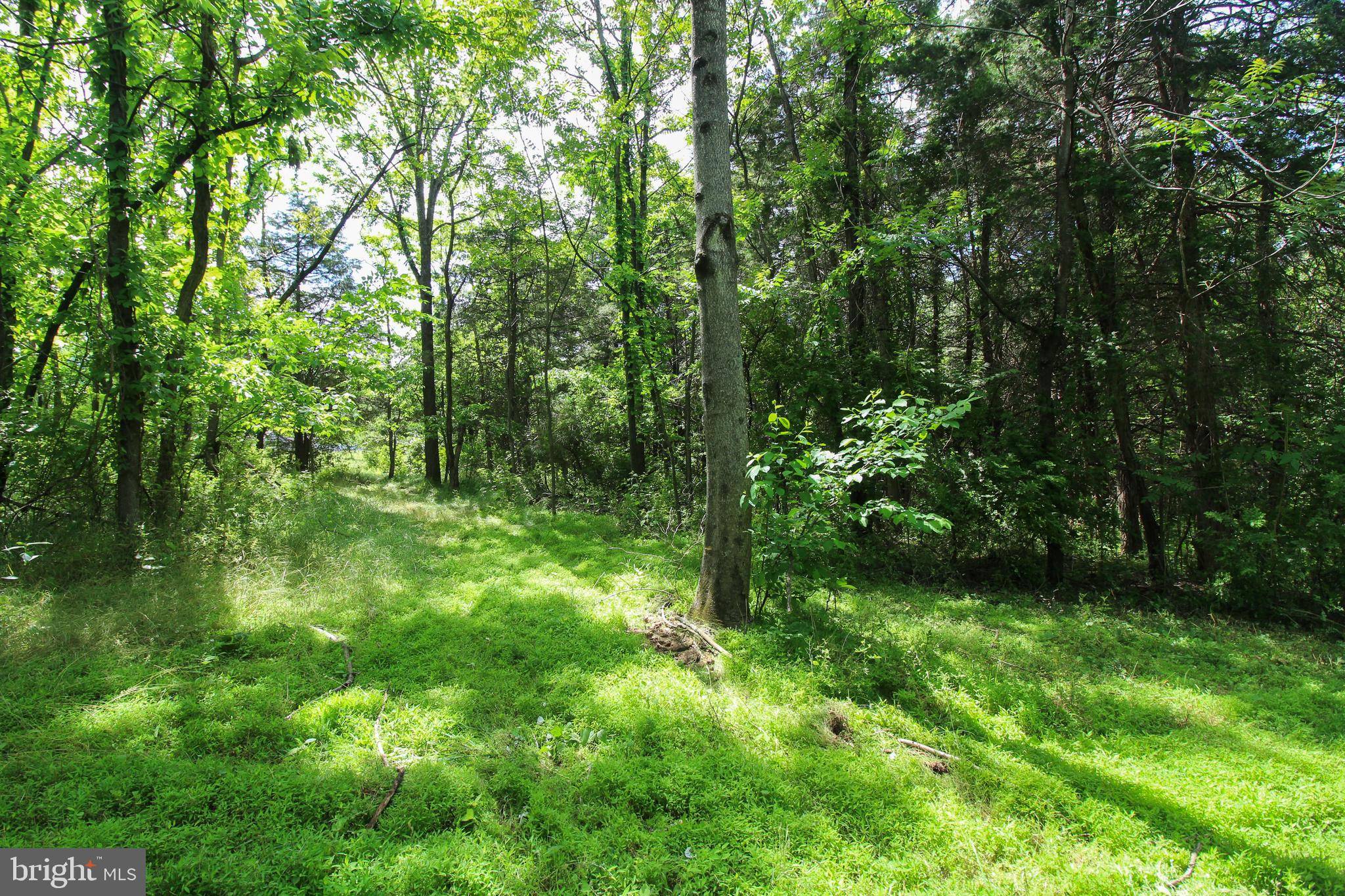 Mount Jackson, VA 22842,DODSON RD