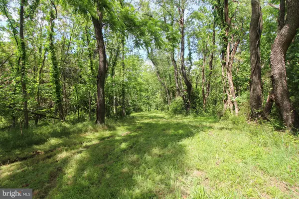 Mount Jackson, VA 22842,DODSON RD