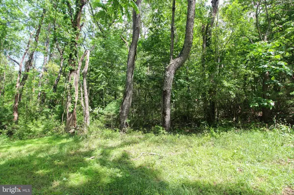 Mount Jackson, VA 22842,DODSON RD