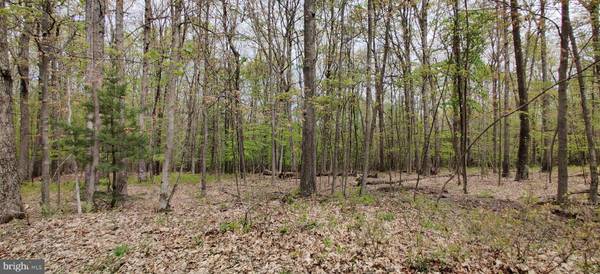 Swanton, MD 21561,15 BRACKEN DRIVE