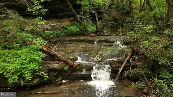 0 PINE GROVE, Athens, WV 24712